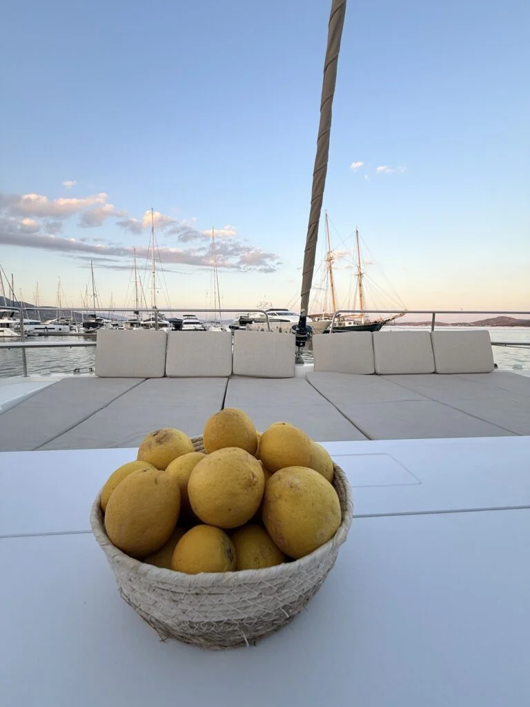 Selena — Bali 4.8 — EGOcharter - Selena Bali 4.8 - Catamaran for charter in Greece