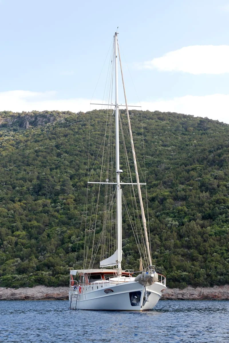 Zorbas - 5
